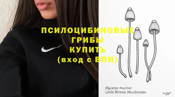 герыч Вязьма