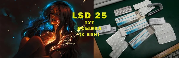 герыч Вязьма